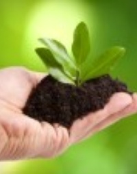 Picture for Love... Synchronicity Style!- Relationships8 package